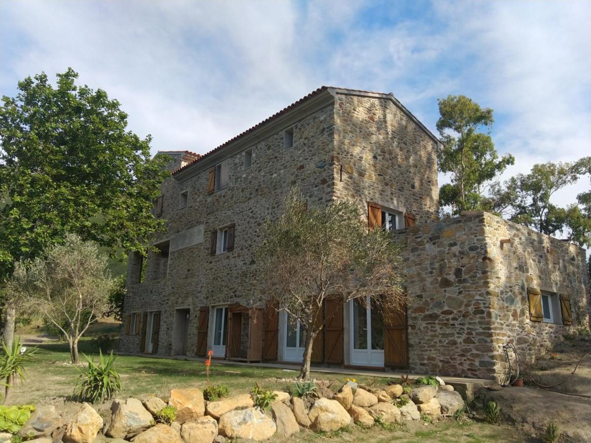Hotel Mulinu Biancu Poggio-d'Oletta Exterior foto