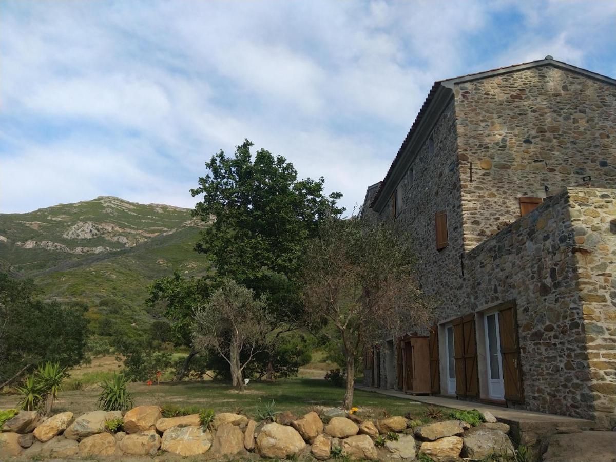 Hotel Mulinu Biancu Poggio-d'Oletta Exterior foto